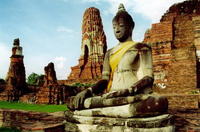Samui_medium.jpg Samui_medium.jpg